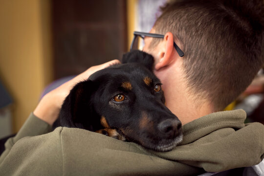  cuddly young dog in the arms of a man
