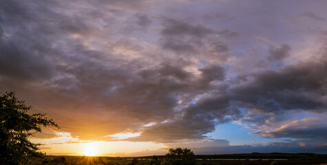 Obraz premium Spring evening meadow after rain