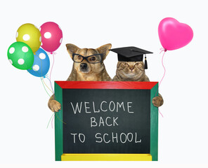 The beige cat in a square academic cap and the dog in glasses are holding colored balloons and a small blackboard with lettering welcome back to school. White background. Isolated.