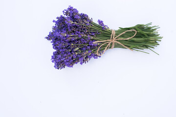 Obraz premium Blooming lavender flowers on the white background
