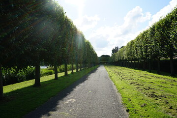 road in the park