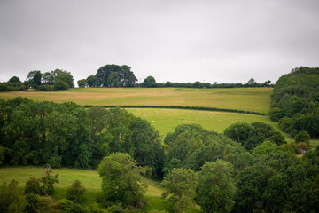 landscape of english field with trees