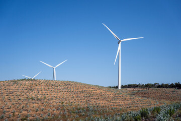Fototapeta premium Wind turbines on a renewable energy wind farm eco field. Green ecological power energy sustainable generation. Eolic energy park