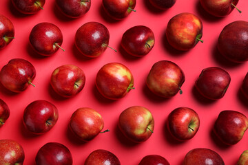 Many ripe juicy apples on red background, flat lay