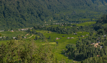 Rice fields along Manaslu Circuit trail from Arughat village to Machhakhola village on both banks of Budhi Gandaki river, Manaslu Himal, Ghorka district, Nepal Himalayas, Nepal.