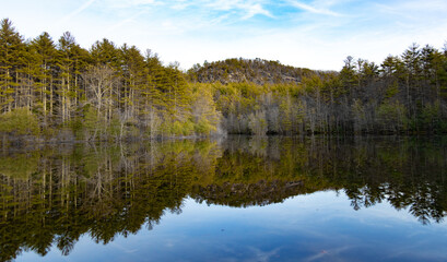 Lake Julia - Asheville NC