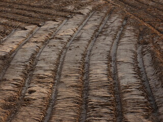 Ground for the construction prepared with bulldozer - bulldozed ground pattern