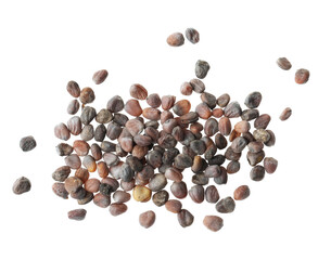 Pile of raw radish seeds on white background, top view. Vegetable planting