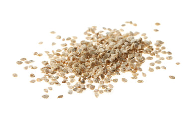 Pile of raw tomato seeds on white background. Vegetable planting
