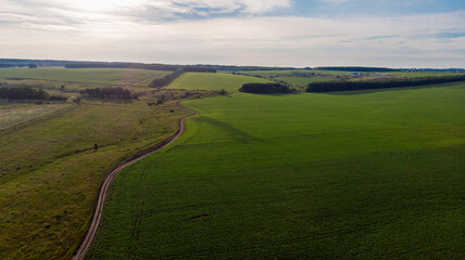 Aerial view of Summer landscape of green agricultural field with a dirt road and a forest belt at sunset, shot from a copter like a bird's-eye, Panoramic photo over the tops of fields, Drone view