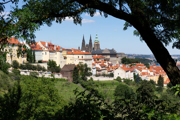 Obraz premium Prague City with gothic Castle and the green Nature from the Hill Petrin, Czech Republic