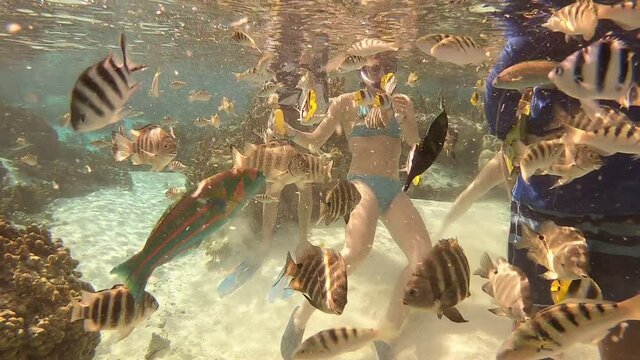 Jeunes femmes nourrissant des poissons sous l'eau, jardin de corail de Taha'a, Polyn&eacute;sie fran&ccedil;aise