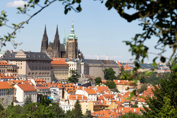 Obraz premium Prague City with gothic Castle and the green Nature from the Hill Petrin, Czech Republic