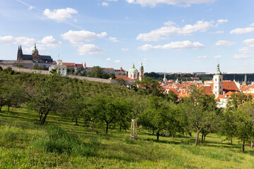 Prague City with gothic Castle and the green Nature from the Hill Petrin, Czech Republic