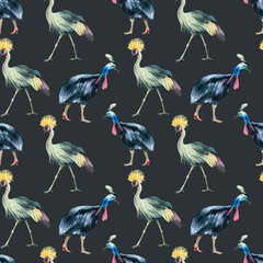 Watercolor Crowned crane, Cassowary bird seamless pattern on black background.