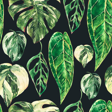 Watercolor aroid home plants seamless pattern. Botanical texture, tropical summer green leaves wallpaper