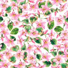 Watercolor pink wildflowers seamless pattern. Summer floral texture