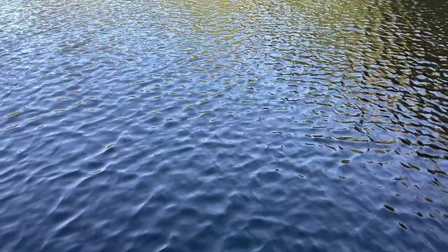 Water