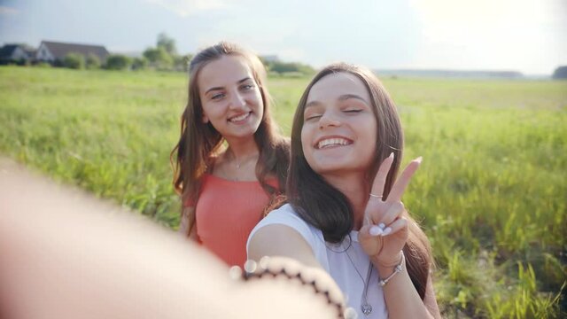 Happy girls take a selfie in the meadow on a summer day. Vertical view.