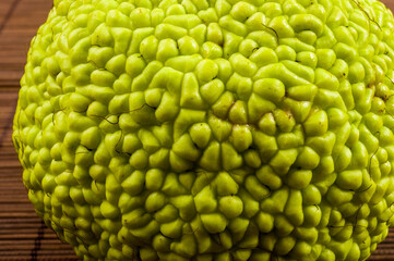 Green fruit of maclura pomifera, osage orange, horse apple, adam apple grow on bamboo mat