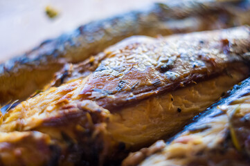 Mackerel baked in the oven, home dish, close-up