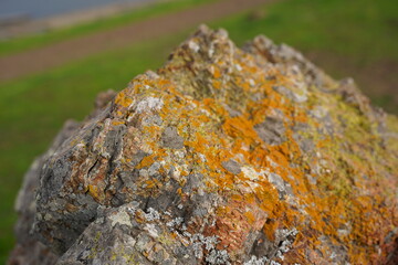 beautiful black stones are festooned with orange lichen, sky, nature,  green, 