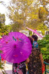 purple umbrella beijing