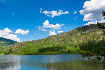 Scenery Around Steamboat Lake in the Summertime