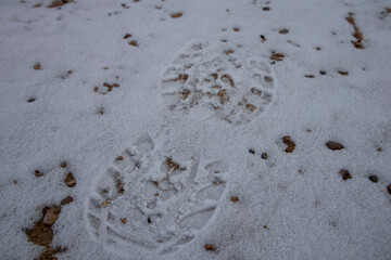 shoeprint in the snow