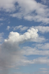 Fototapeta na wymiar blue sky with shaped clouds in palmira