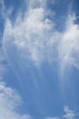 Fototapeta premium 空、雲、青空、