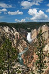 Yellowstone River Falls