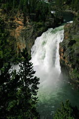 Yellowstone River Falls 