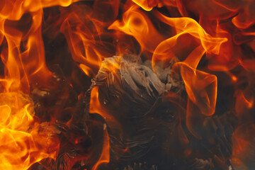 Fototapeta premium blazing fire background with tongues of flame