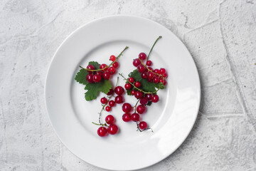 Red currants on a white plate on a gray background. Top view