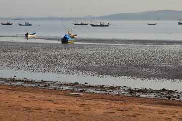 fishing boat on the beach