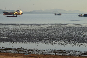 fishing boats on the beach