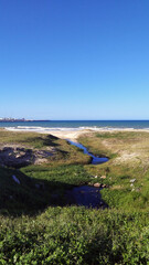 view of the coast of the river
