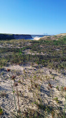 view of the coast of the river