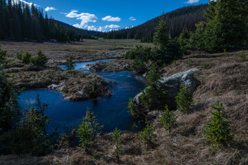 Fototapeta na wymiar Long Meadows - Rocky Mountain National Park