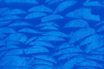 abstract blue texture background with copy space for design