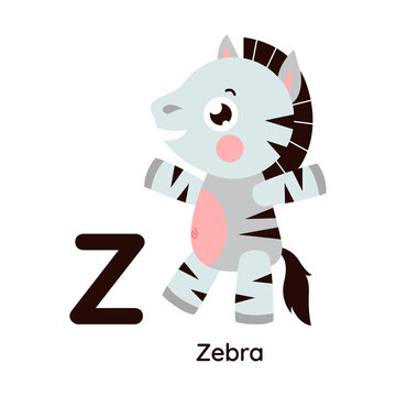 Vector alphabet letter Z zebra illustration