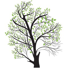 Obraz premium tree top with green leaves