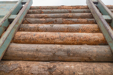 A logging train at the sawmill hauls stacked wooden logs and tree trunks. A train with felled trees. The train on the territory of the woodworking plant.