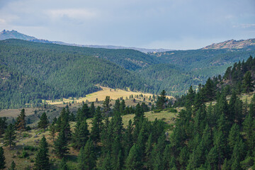 Fototapeta na wymiar mountain landscape in Wyoming