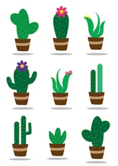 Fotobehang Cactus in pot verzameling cactusplanten