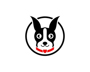 Dog with love collar