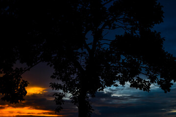 Fototapeta na wymiar Wonderful Sunset