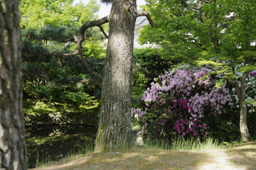 京都　桂　20150511