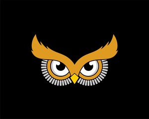 Owl eye with gold and silver color